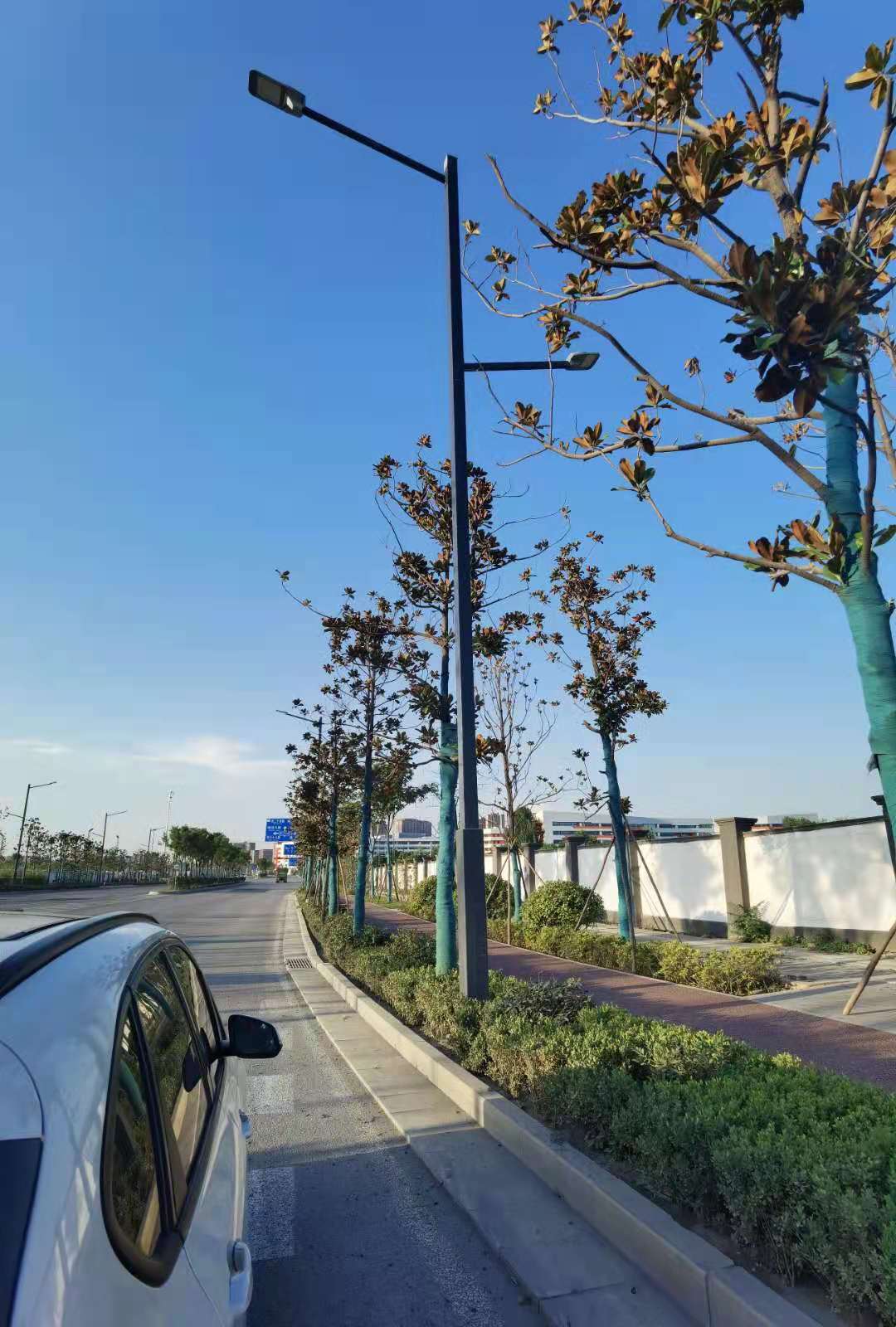 長安區(qū)11米道路燈安裝